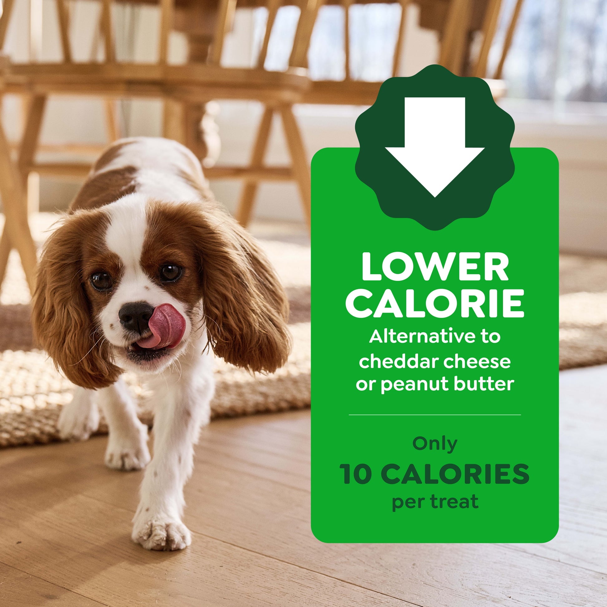 Pill Pockets for Dogs Chicken Flavor Large, Capsule Size Soft Dog Treats, 7.9 Oz, (30 Pk)