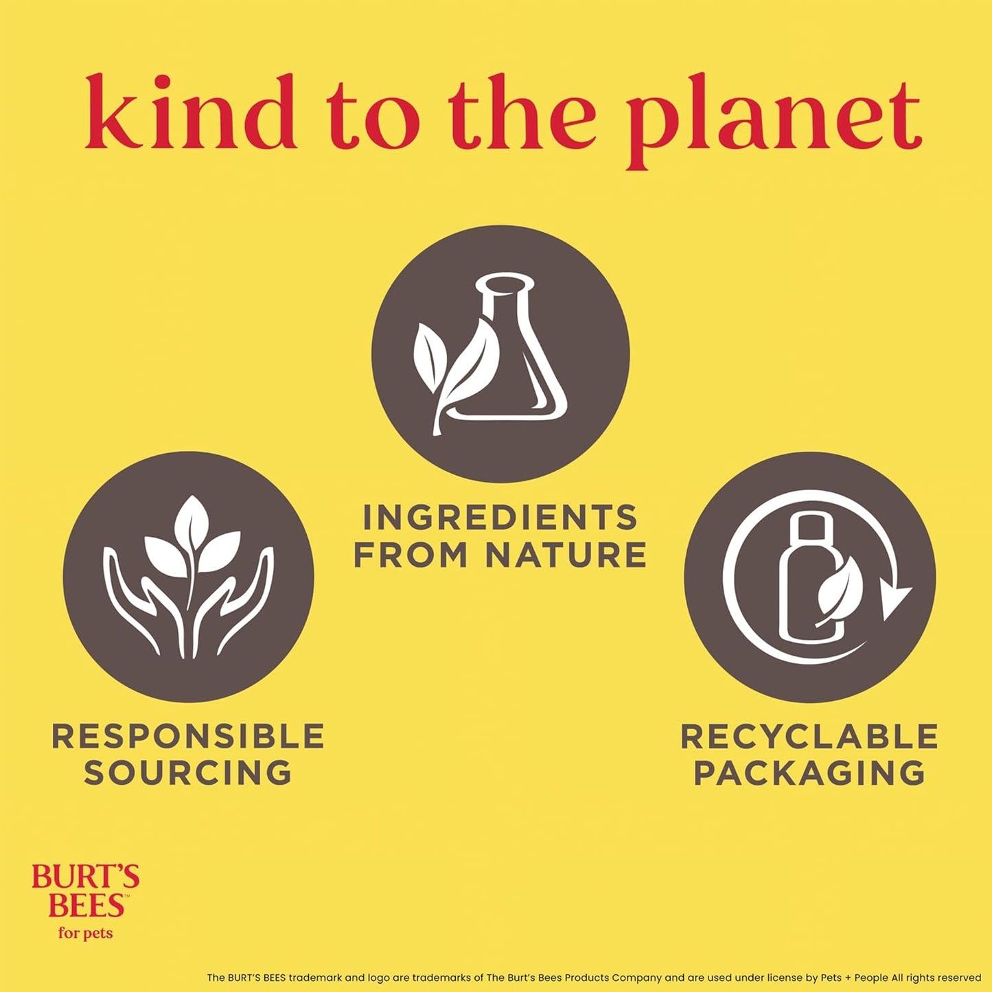 Burt'S Bees for Kittens Natural Tearless Shampoo with Buttermilk Cat Shampoo, Kitten Shampoo - Cat Grooming Supplies, Cat Bath Supplies, Shampoo for Cats, Kitty Shampoo, Pet Shampoo