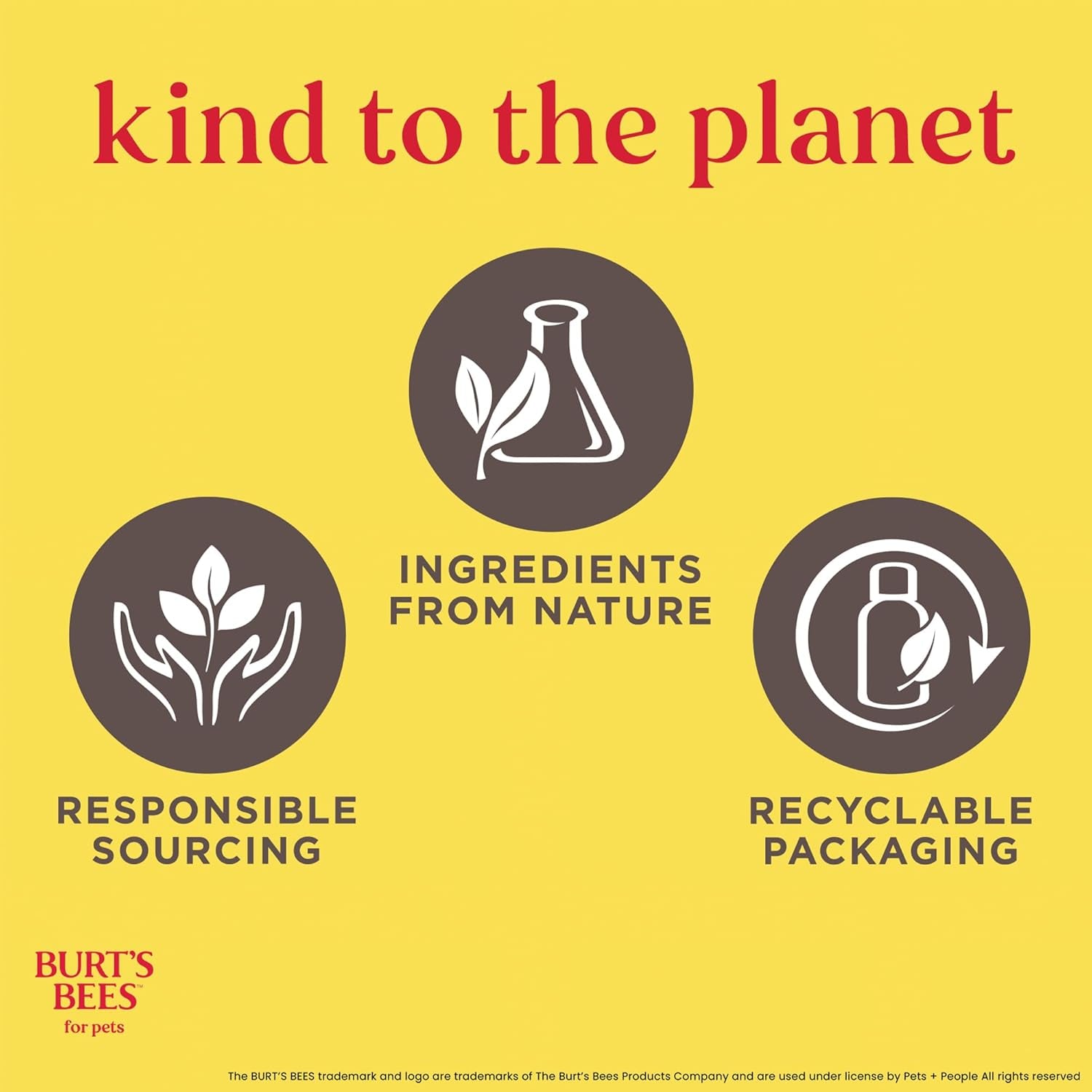 Burt'S Bees for Kittens Natural Tearless Shampoo with Buttermilk Cat Shampoo, Kitten Shampoo - Cat Grooming Supplies, Cat Bath Supplies, Shampoo for Cats, Kitty Shampoo, Pet Shampoo