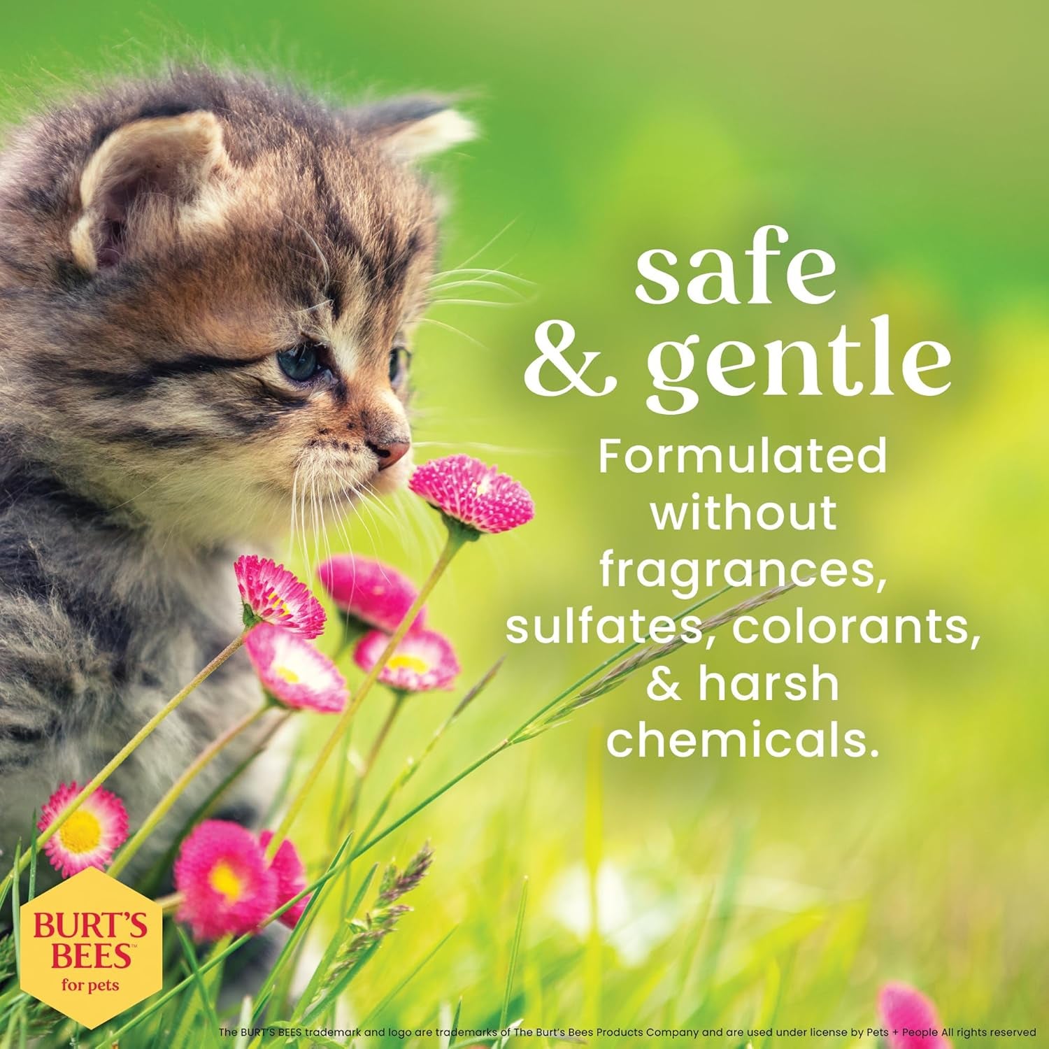 Burt'S Bees for Kittens Natural Tearless Shampoo with Buttermilk Cat Shampoo, Kitten Shampoo - Cat Grooming Supplies, Cat Bath Supplies, Shampoo for Cats, Kitty Shampoo, Pet Shampoo