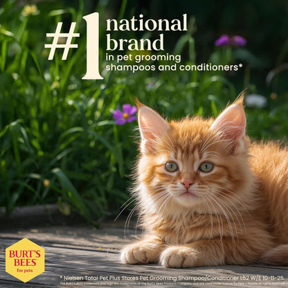 Burt'S Bees for Kittens Natural Tearless Shampoo with Buttermilk Cat Shampoo, Kitten Shampoo - Cat Grooming Supplies, Cat Bath Supplies, Shampoo for Cats, Kitty Shampoo, Pet Shampoo